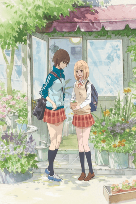 Asagao to Kase-san. cover image